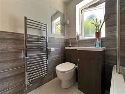 Picture 14